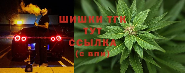 тгк Мегион
