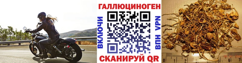 как найти наркотики  Болгар  Галлюциногенные грибы мухоморы 